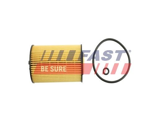 Obrázok Olejový filter FAST  FT38098