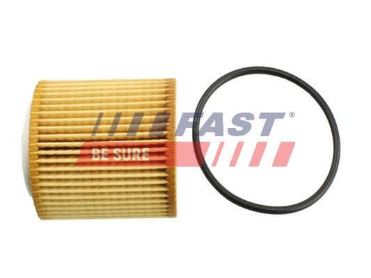 Obrázok Olejový filter FAST  FT38100