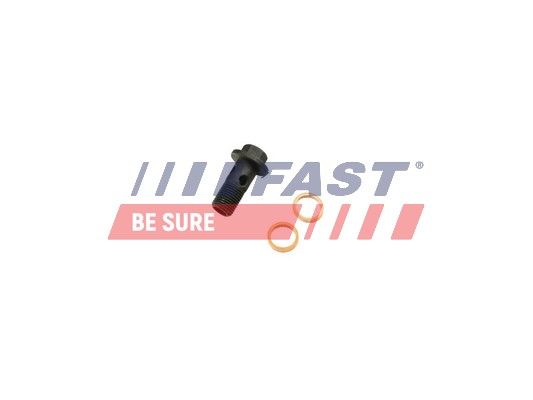 Obrázok Dutá skrutka pre turbo FAST  FT38931