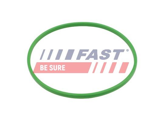 Obrázok Tesnenie, Palivové čerpadlo FAST  FT48503