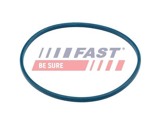 Obrázok Tesnenie, Plniace hrdlo palivovej nádrże FAST  FT48504