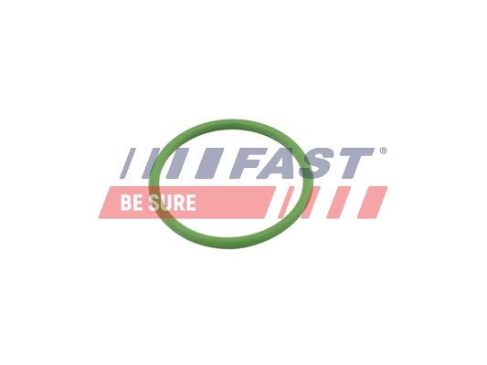 Obrázok Tesnenie prívodu turbíny FAST  FT48803