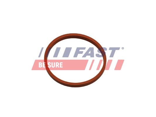 Obrázok Tesniaci krúżok hadice plniaceho vzduchu FAST  FT48932