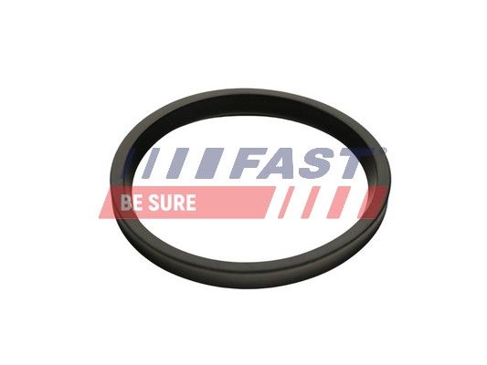 Obrázok Tesniaci krúżok hadice plniaceho vzduchu FAST  FT48947