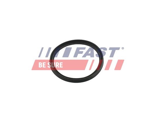 Obrázok Tesniaci krúżok turbodúchadla FAST  FT49854