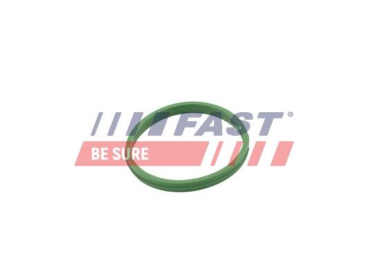 Obrázok Tesniaci krúżok, vypúżżacia skrutka oleja FAST  FT49855