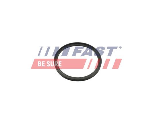 Obrázok Tesniaci krúżok turbodúchadla FAST  FT49857