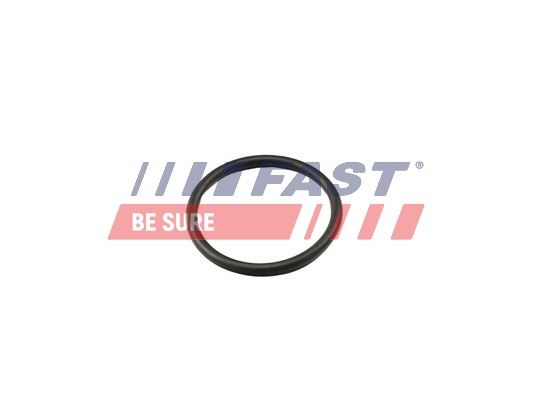 Obrázok Tesnenie termostatu FAST  FT49917