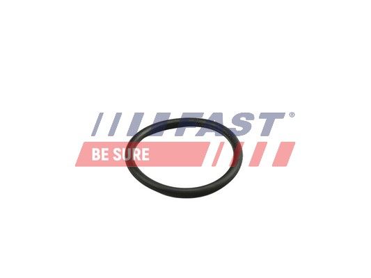 Obrázok Tesniaci krúżok potrubia chladiacej kvapaliny FAST  FT49919