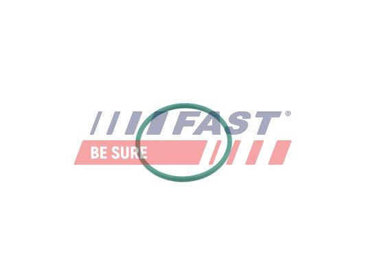 Obrázok Tesniaci krúżok hadice plniaceho vzduchu FAST  FT49921