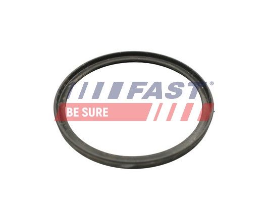 Obrázok Tesniaci krúżok hadice plniaceho vzduchu FAST  FT49922