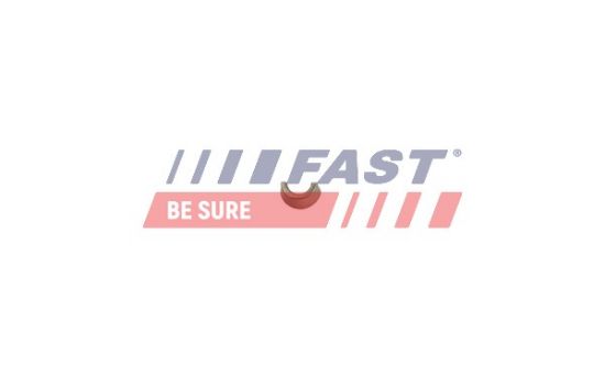 Obrázok Ventilový klin FAST  FT43801