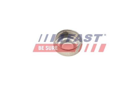 Obrázok Protimrazová poistka FAST  FT50801