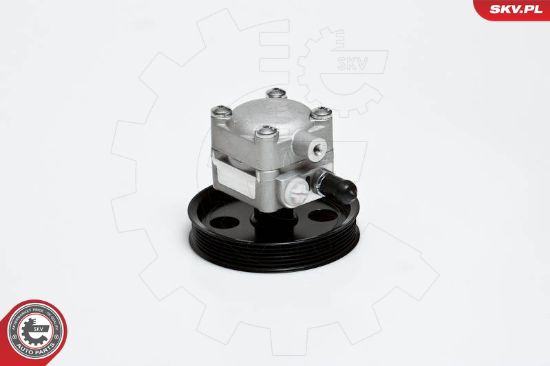 Obrázok Hydraulické čerpadlo pre riadenie ESEN SKV  10SKV176