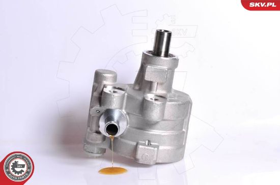 Obrázok Hydraulické čerpadlo pre riadenie ESEN SKV  10SKV180