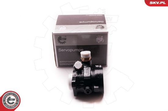Obrázok Hydraulické čerpadlo pre riadenie ESEN SKV  1SKV0001