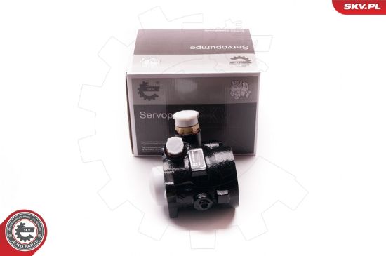 Obrázok Hydraulické čerpadlo pre riadenie ESEN SKV  1SKV0003