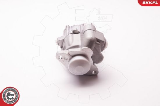 Obrázok Hydraulické čerpadlo pre riadenie ESEN SKV  1SKV0004