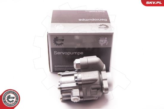 Obrázok Hydraulické čerpadlo pre riadenie ESEN SKV  1SKV0004