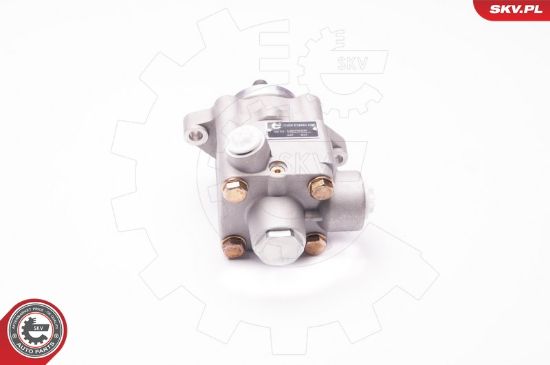 Obrázok Hydraulické čerpadlo pre riadenie ESEN SKV  1SKV0005