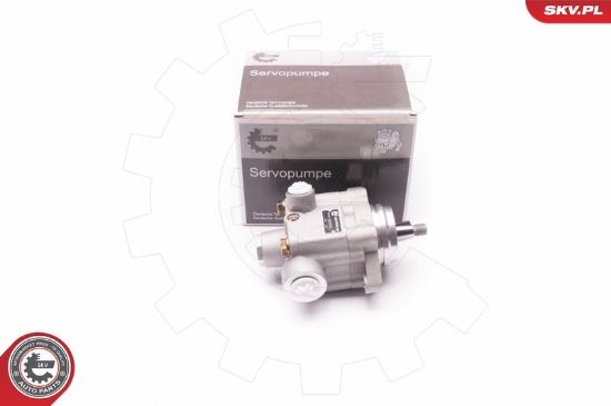 Obrázok Hydraulické čerpadlo pre riadenie ESEN SKV  1SKV0005