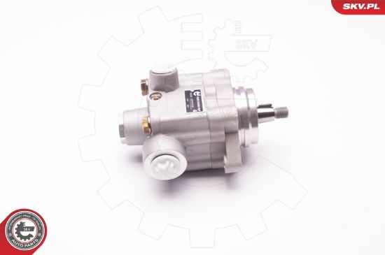 Obrázok Hydraulické čerpadlo pre riadenie ESEN SKV  1SKV0005
