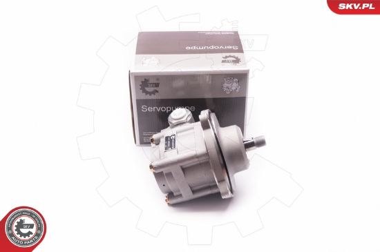 Obrázok Hydraulické čerpadlo pre riadenie ESEN SKV  1SKV0007