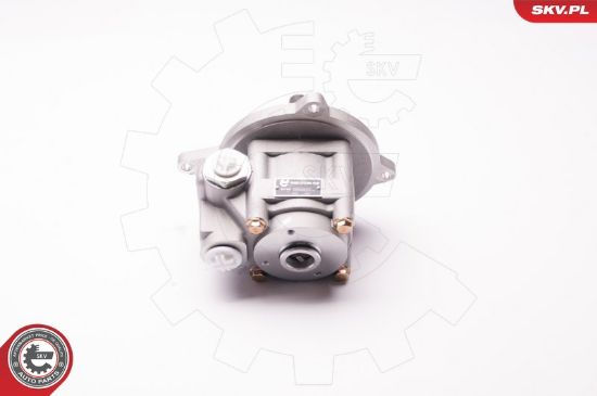 Obrázok Hydraulické čerpadlo pre riadenie ESEN SKV  1SKV0007