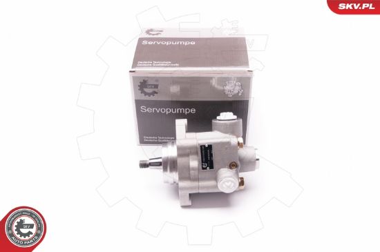 Obrázok Hydraulické čerpadlo pre riadenie ESEN SKV  1SKV0008