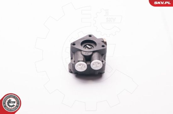 Obrázok Hydraulické čerpadlo pre riadenie ESEN SKV  1SKV0009