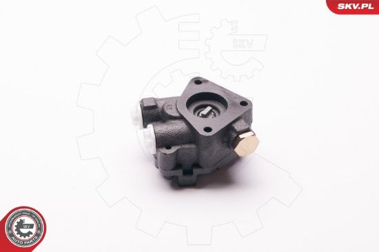 Obrázok Hydraulické čerpadlo pre riadenie ESEN SKV  1SKV0009