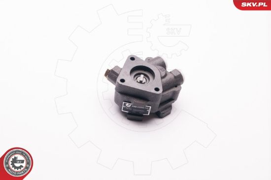 Obrázok Hydraulické čerpadlo pre riadenie ESEN SKV  1SKV0009