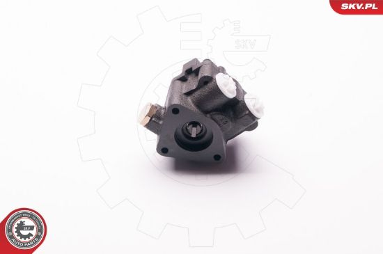 Obrázok Hydraulické čerpadlo pre riadenie ESEN SKV  1SKV0009
