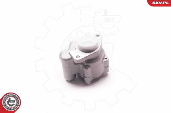 Obrázok Hydraulické čerpadlo pre riadenie ESEN SKV  1SKV0010