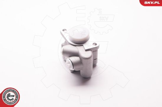Obrázok Hydraulické čerpadlo pre riadenie ESEN SKV  1SKV0010