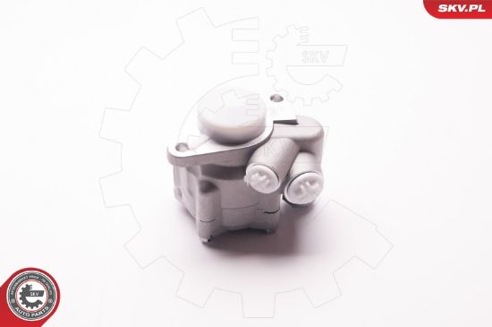 Obrázok Hydraulické čerpadlo pre riadenie ESEN SKV  1SKV0010