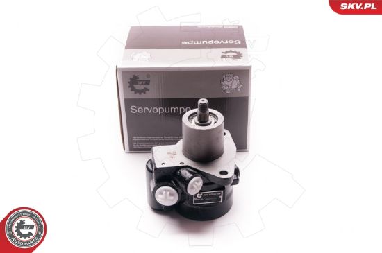 Obrázok Hydraulické čerpadlo pre riadenie ESEN SKV  1SKV0011