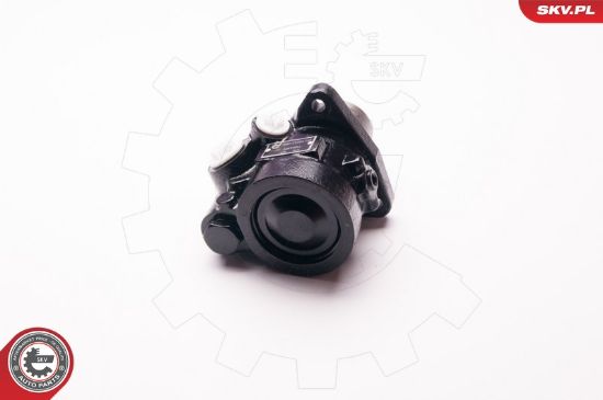 Obrázok Hydraulické čerpadlo pre riadenie ESEN SKV  1SKV0011