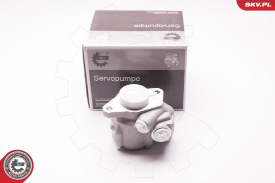 Obrázok Hydraulické čerpadlo pre riadenie ESEN SKV  1SKV0012
