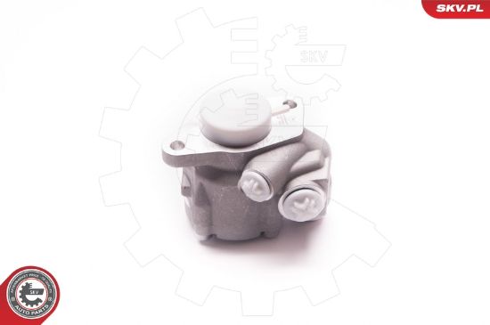 Obrázok Hydraulické čerpadlo pre riadenie ESEN SKV  1SKV0012
