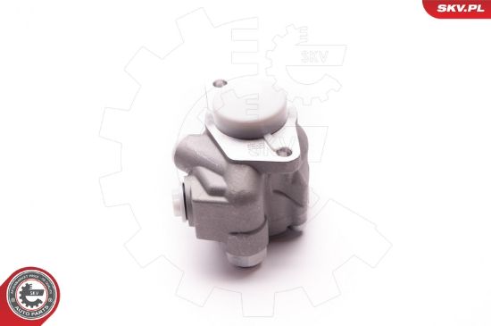 Obrázok Hydraulické čerpadlo pre riadenie ESEN SKV  1SKV0012