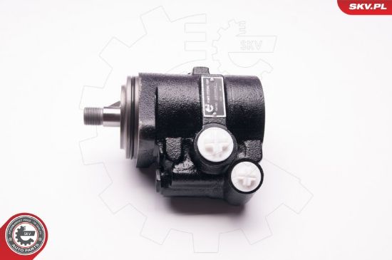 Obrázok Hydraulické čerpadlo pre riadenie ESEN SKV  1SKV0013