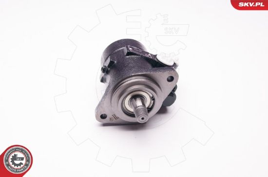 Obrázok Hydraulické čerpadlo pre riadenie ESEN SKV  1SKV0013