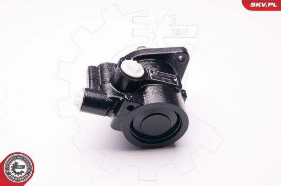 Obrázok Hydraulické čerpadlo pre riadenie ESEN SKV  1SKV0014