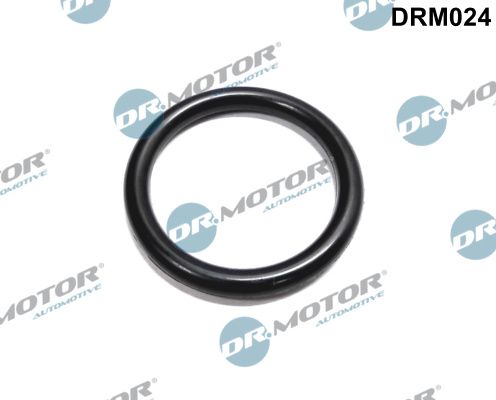 Obrázok Tesnenie príruby chladenia Dr.Motor Automotive  DRM024