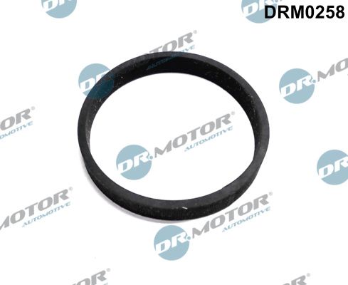 Obrázok Tesnenie prívodu turbíny Dr.Motor Automotive  DRM0258