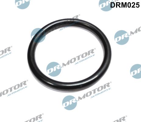 Obrázok Tesnenie, hrdlo škrtiacej klapky Dr.Motor Automotive  DRM025
