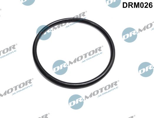 Obrázok Tesnenie, hrdlo škrtiacej klapky DR. MOTOR DRM026