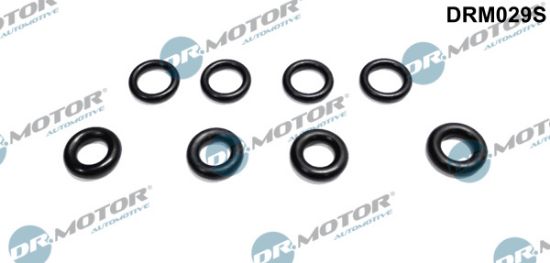 Obrázok Tesniaci krúżok drżiaka trysky Dr.Motor Automotive  DRM029S