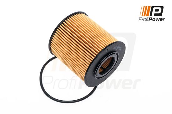 Obrázok Olejový filter ProfiPower  1F0070